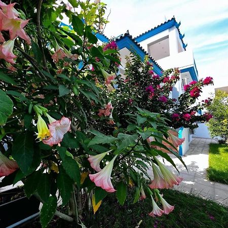 Sicci Villa Near The Airport & Sea Athens Exterior photo